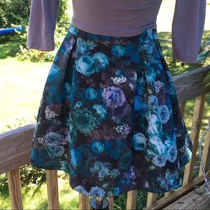 Express Skirt